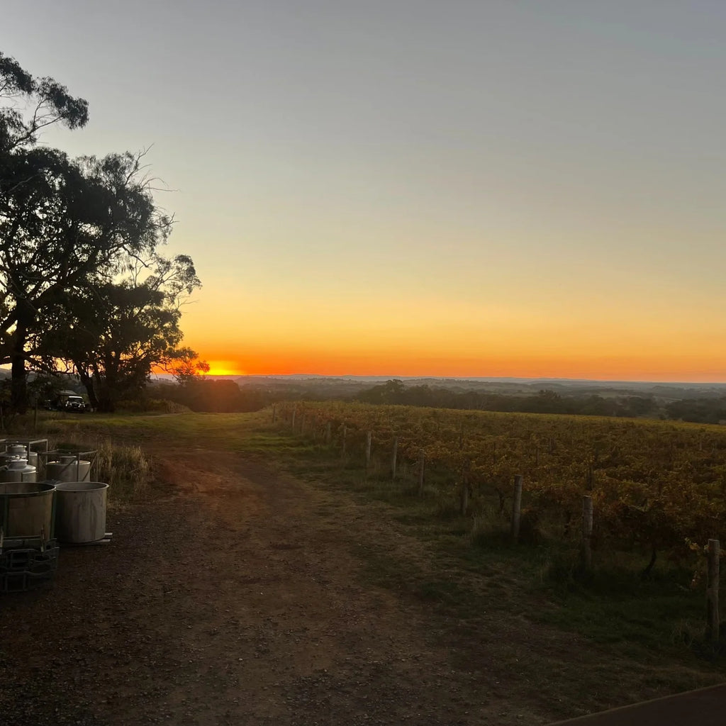 Sunset Tour and Taste at Cargo Road Winery