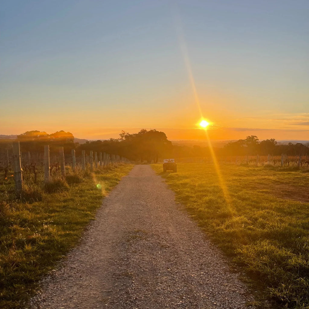 Sunset Tour and Taste at Cargo Road Winery